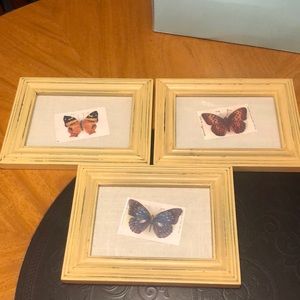 Colorful Butterfly Silk Tobacco Cards Produced By Tokio Set of 3